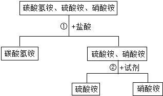 2024年11月22日 第2页